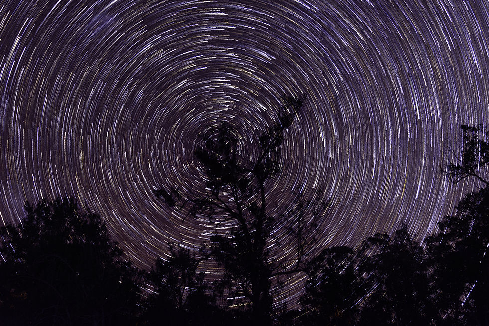 Star trails from Gordon Country